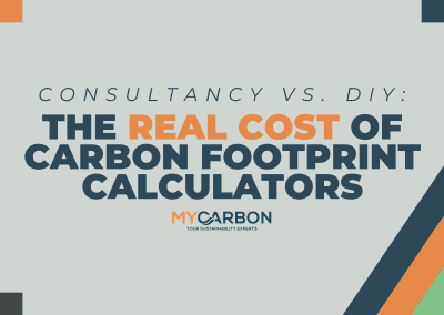 Consultancy vs. DIY: The Real Cost of A Carbon Footprint Calculator