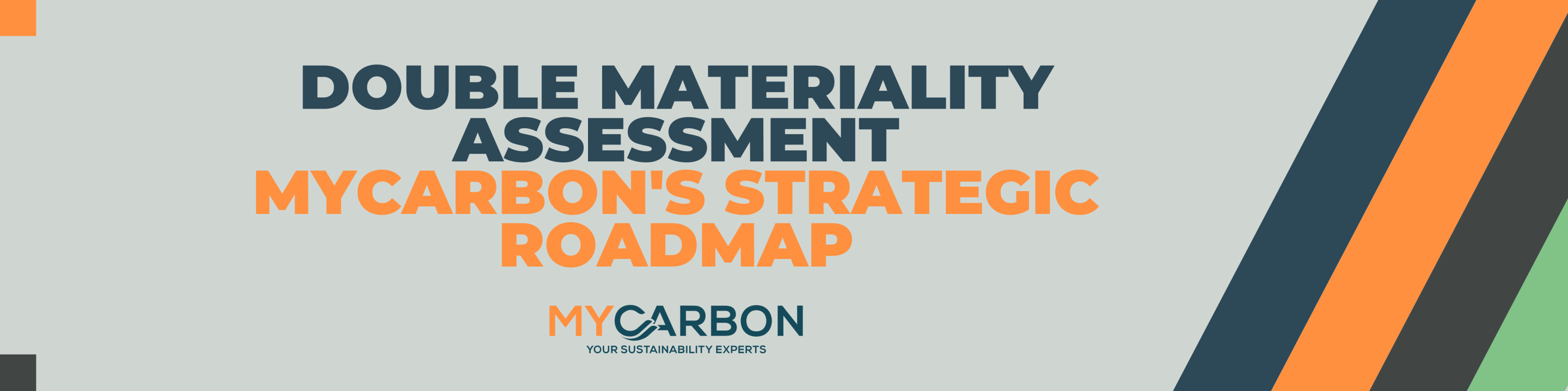 Double Sustainability Assessment Banner (2) Double Sustainability Assessment MyCarbon's Strategic Roadmap