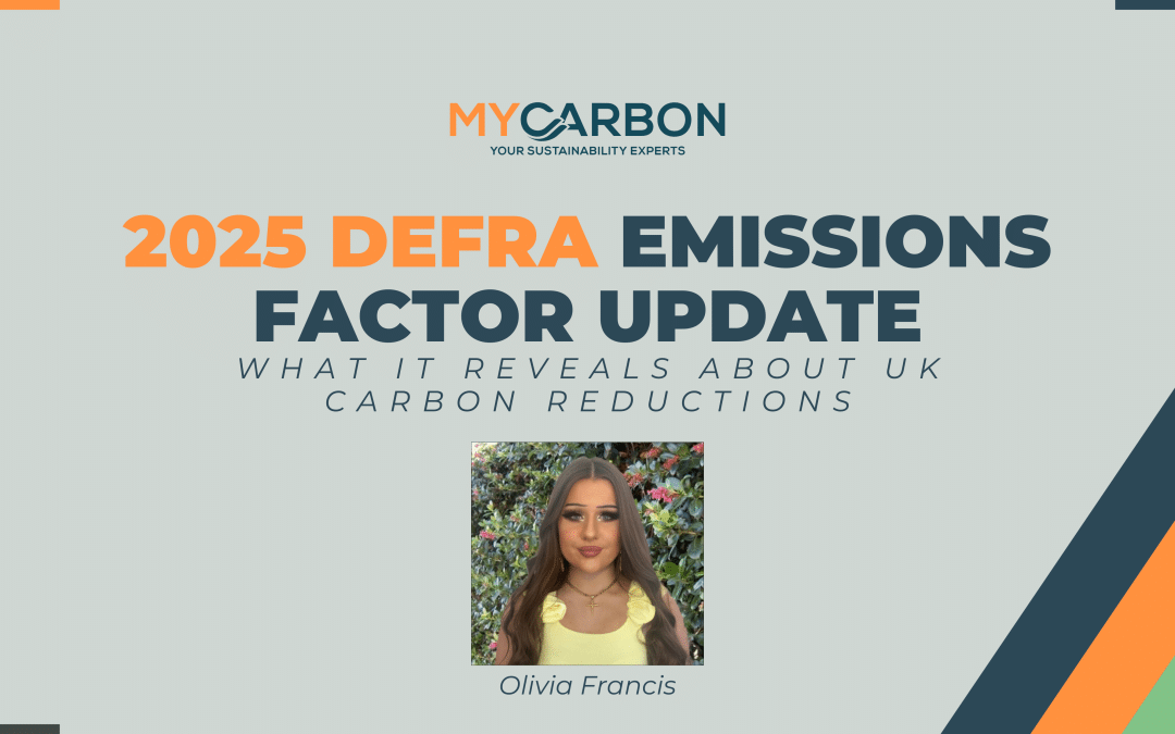 2025 DEFRA Emissions Factor Update: What It Reveals About UK Carbon Reductions
