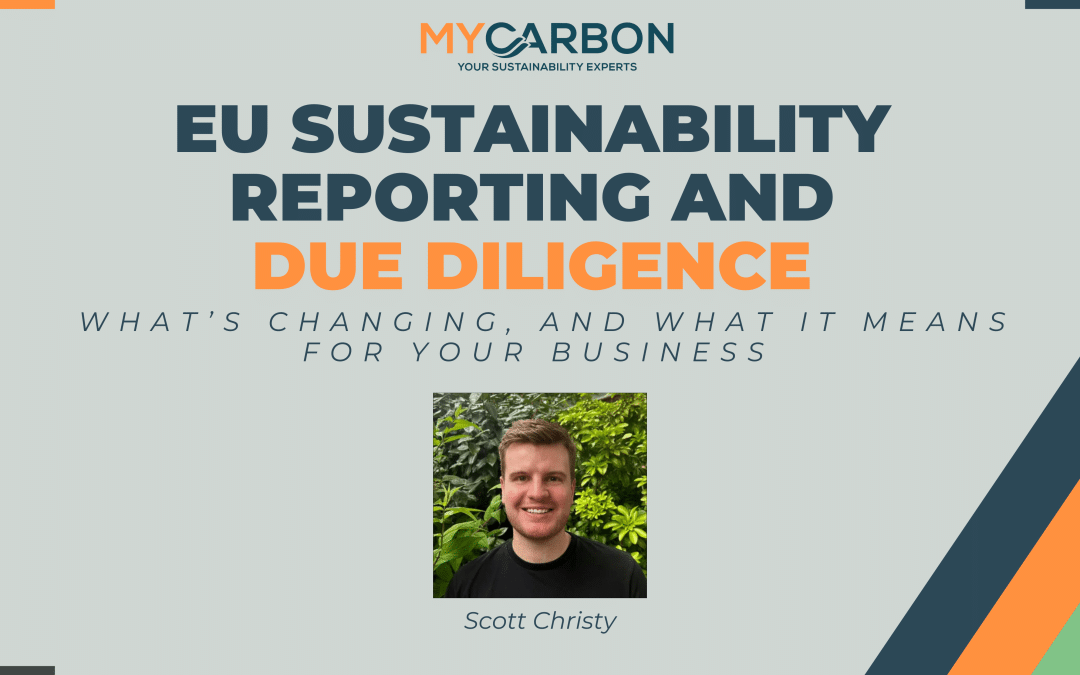 EU Sustainability Reporting and Due Diligence: What’s Changing, and What It Means for Your Business