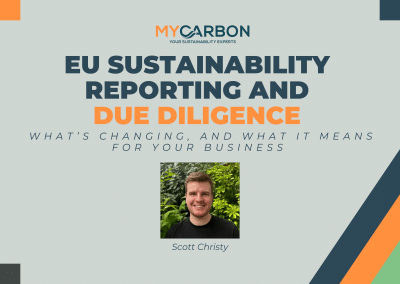 EU Sustainability Reporting and Due Diligence: What’s Changing, and What It Means for Your Business