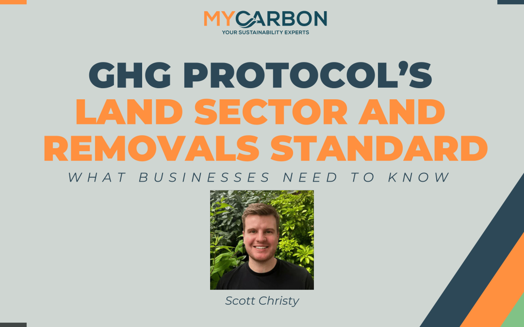 GHG Protocol’s Land Sector and Removals Standard: What Businesses Need to Know