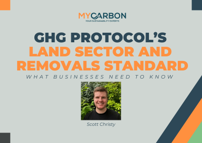 GHG Protocol’s Land Sector and Removals Standard: What Businesses Need to Know